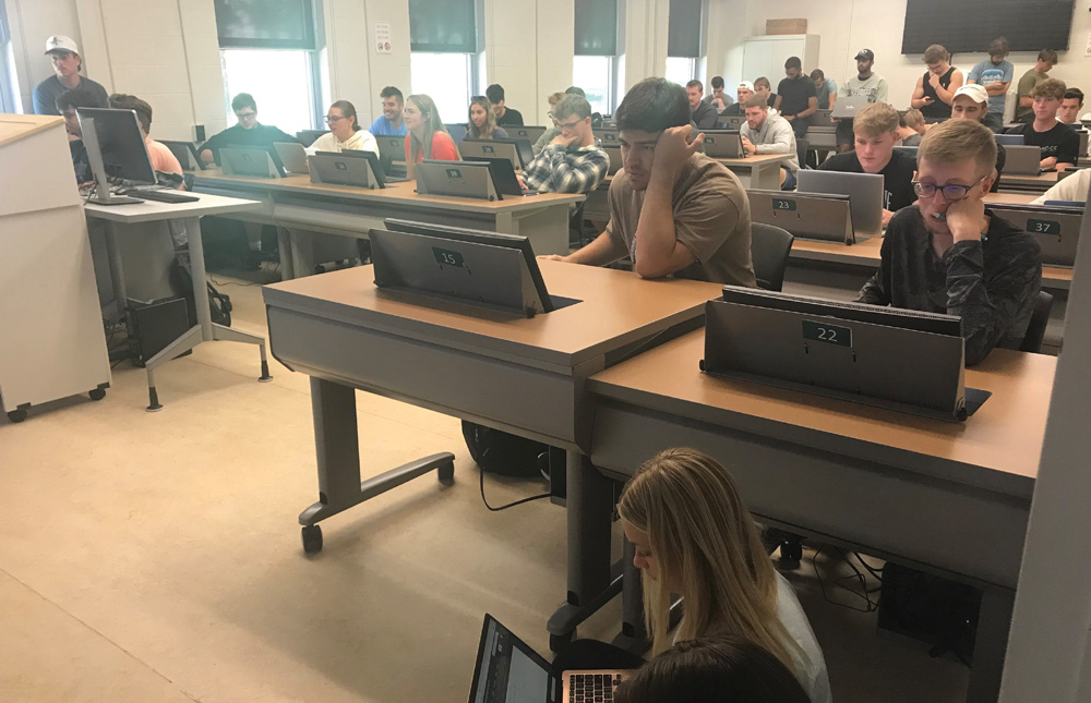 students in a classroom working on computers