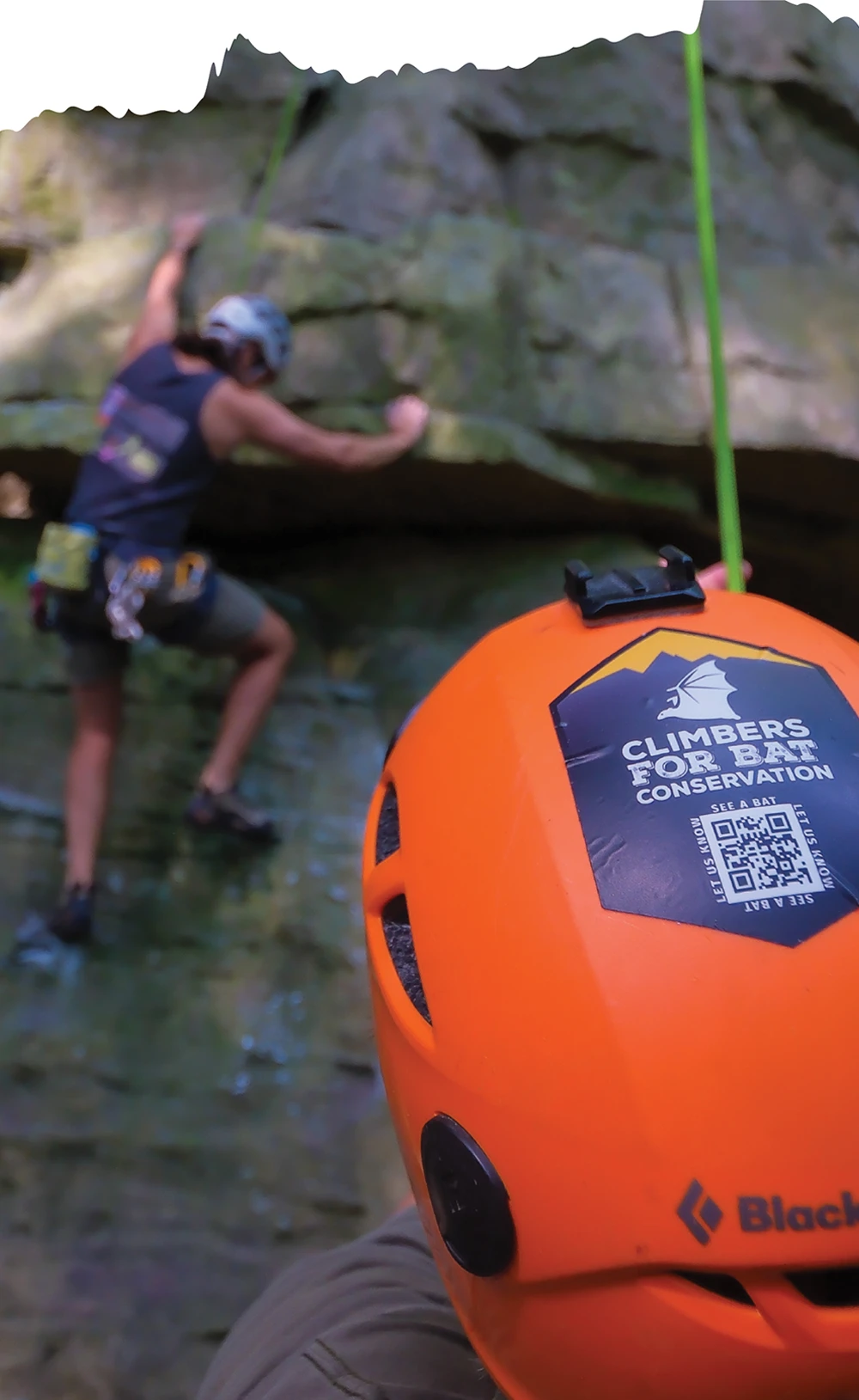 close up orange climbers helmet being worn with a sticker that reads Climbers for Bat Conservation and another climber scaling a cliff face