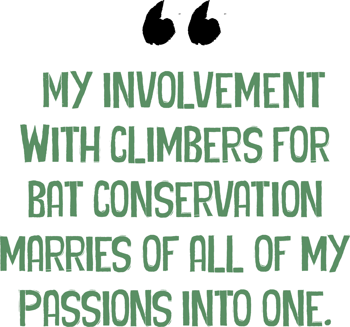 My involvement with Climbers for Bat Conservation marries of all of my passions into one.