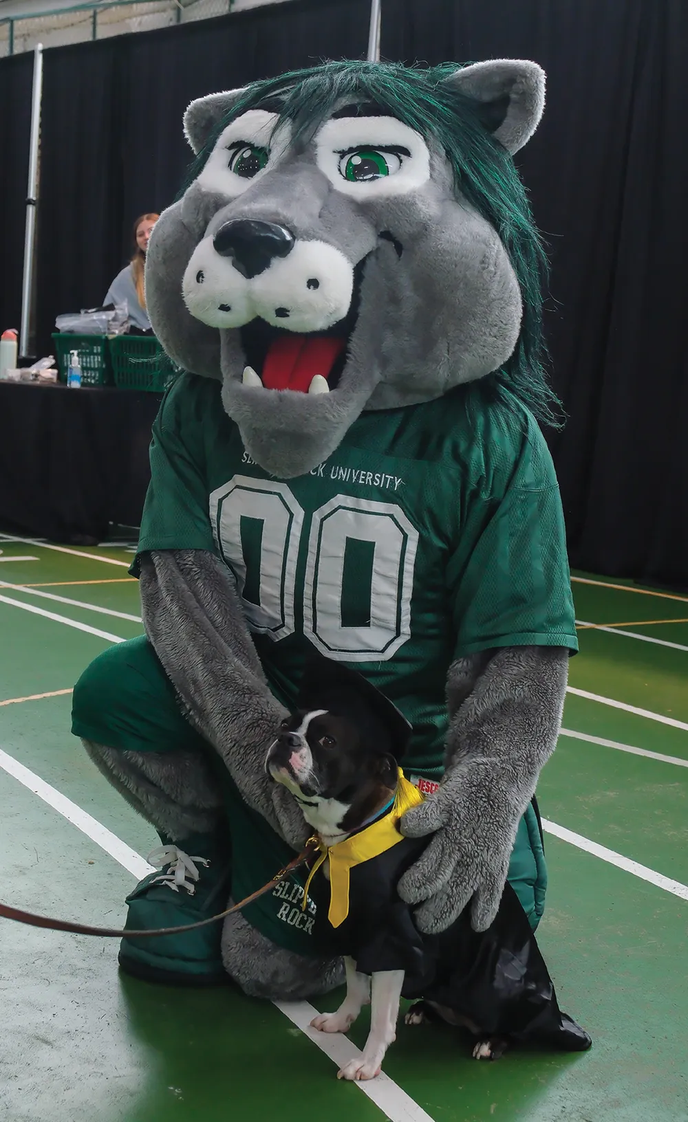 A lion mascot in a green jersey stands on a sports court with a small dog in a black outfit sitting beside it.
