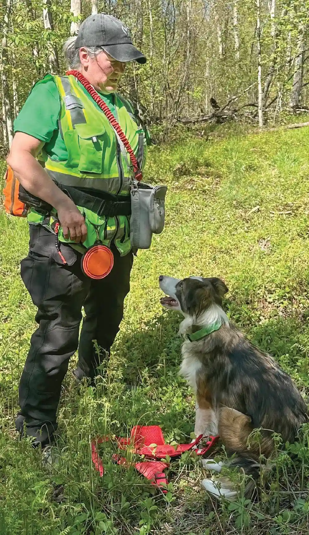 A search and rescue handler in a high-visibility vest stands in a grassy wooded area looking down at a sitting border collie mix dog.