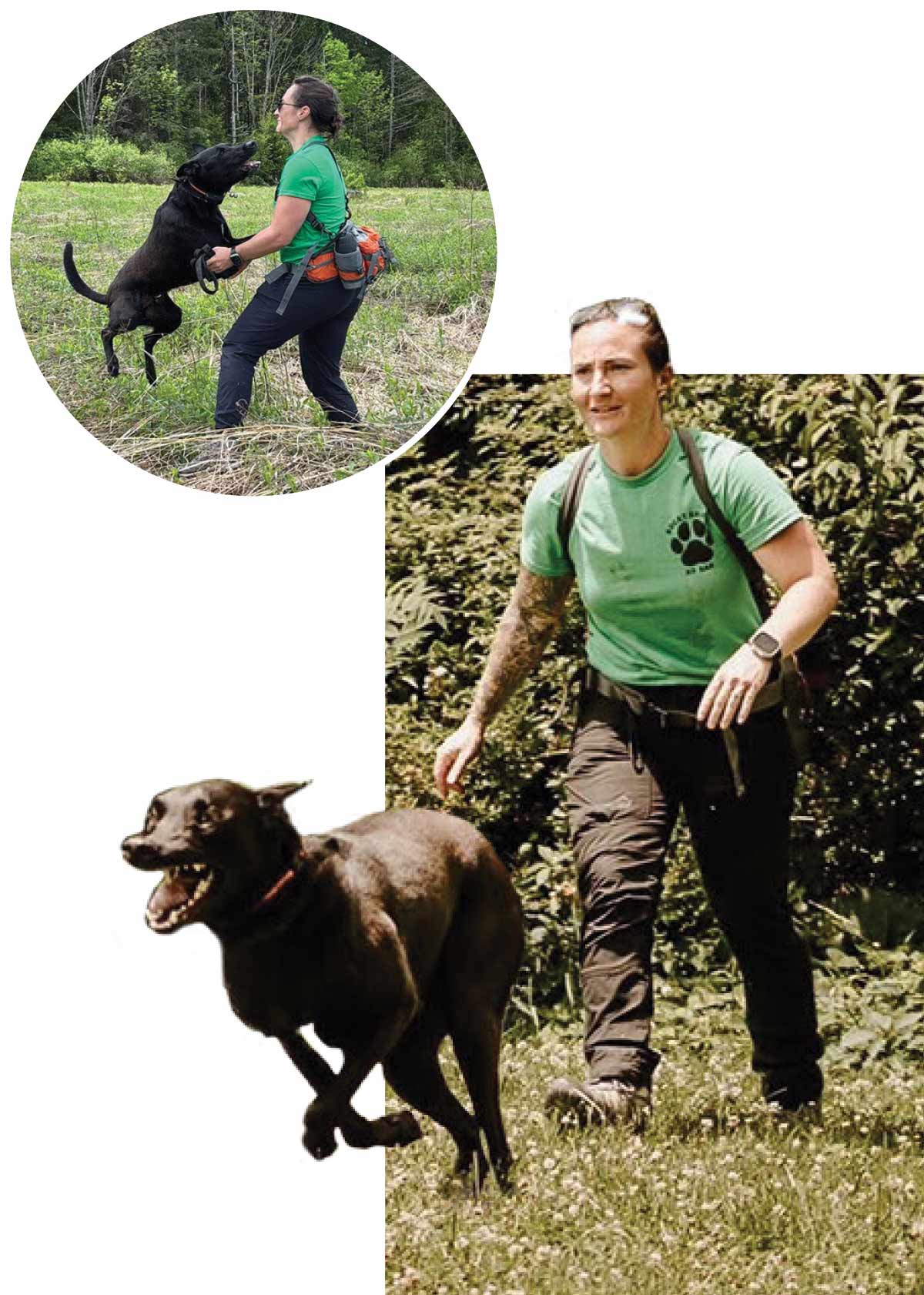 A composite image featuring a search and rescue handler walking on a grassy path behind an energetic black dog, with an inset circular photo of them playing.
